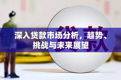 官田深入贷款市场分析，趋势、挑战与未来展望