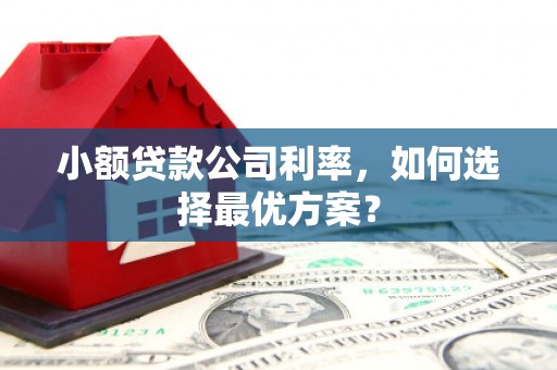 官田小额贷款公司利率，如何选择最优方案？
