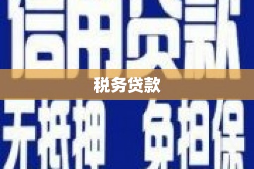 官田税务贷款