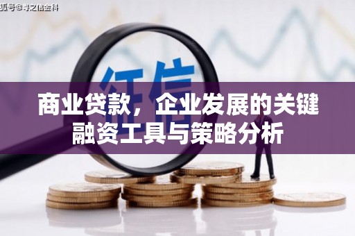 官田商业贷款，企业发展的关键融资工具与策略分析
