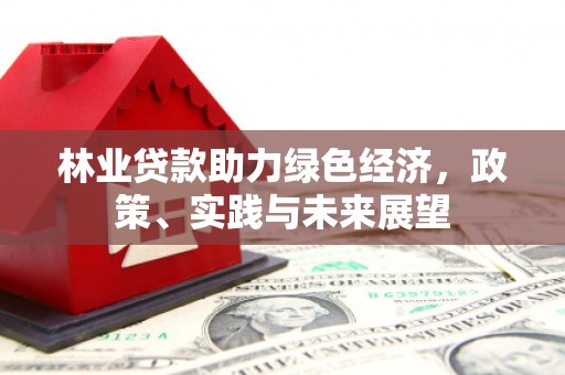 官田林业贷款助力绿色经济，政策、实践与未来展望