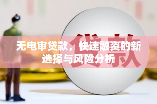 官田无电审贷款，快速融资的新选择与风险分析