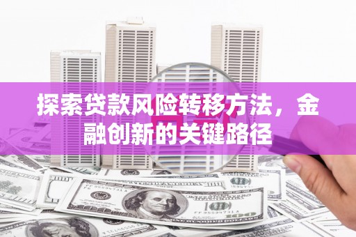 官田探索贷款风险转移方法，金融创新的关键路径