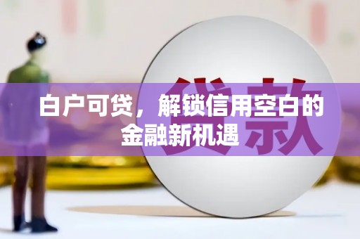 官田白户可贷，解锁信用空白的金融新机遇