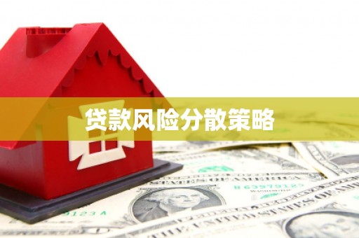 官田贷款风险分散策略