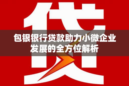 官田包银银行贷款助力小微企业发展的全方位解析