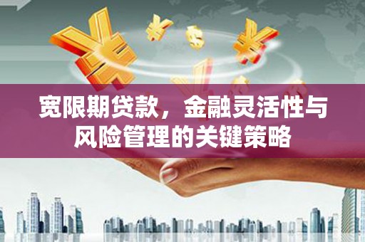 官田宽限期贷款，金融灵活性与风险管理的关键策略