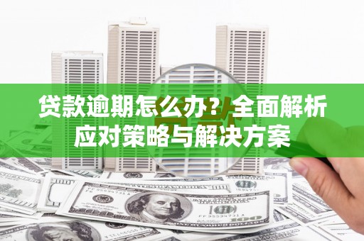 官田贷款逾期怎么办？全面解析应对策略与解决方案