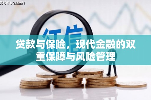 官田贷款与保险，现代金融的双重保障与风险管理