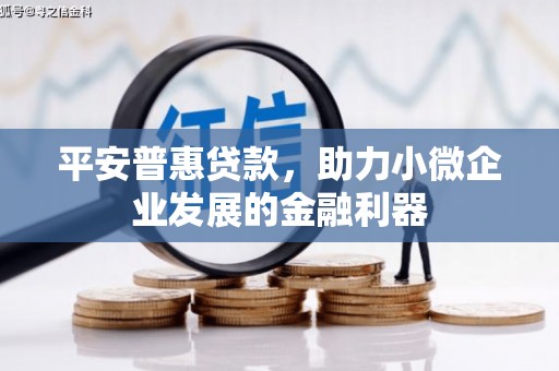 官田平安普惠贷款，助力小微企业发展的金融利器