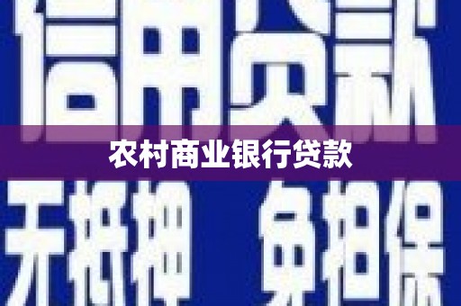 官田农村商业银行贷款