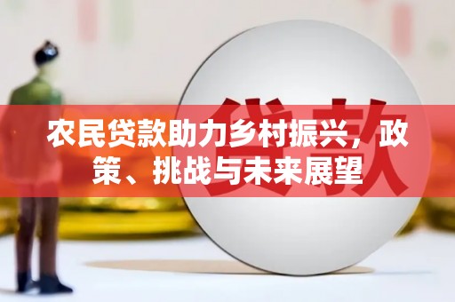 官田农民贷款助力乡村振兴，政策、挑战与未来展望