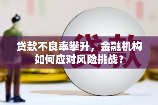 官田贷款不良率攀升，金融机构如何应对风险挑战？