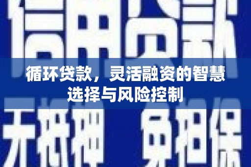 官田循环贷款，灵活融资的智慧选择与风险控制
