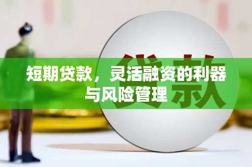 官田短期贷款，灵活融资的利器与风险管理
