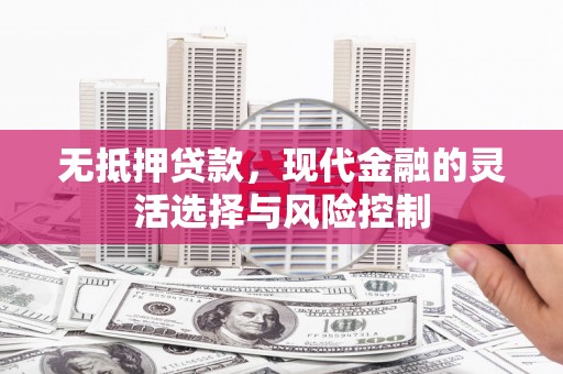 官田无抵押贷款，现代金融的灵活选择与风险控制