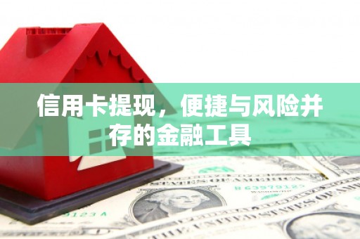 官田信用卡提现，便捷与风险并存的金融工具