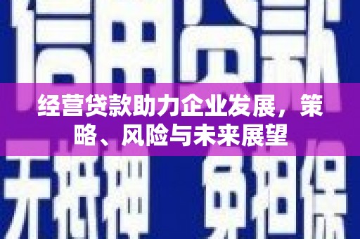 官田经营贷款助力企业发展，策略、风险与未来展望