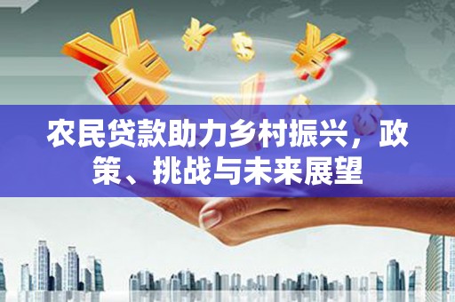 官田农民贷款助力乡村振兴，政策、挑战与未来展望