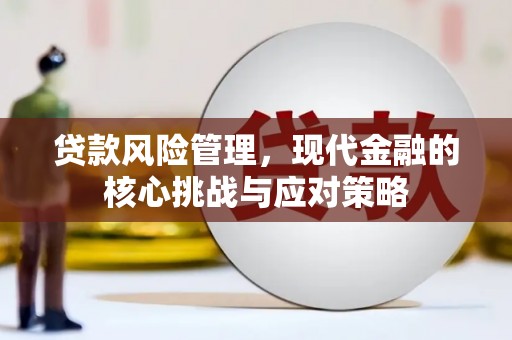 官田贷款风险管理，现代金融的核心挑战与应对策略