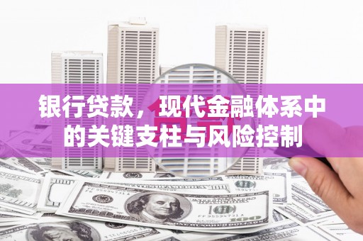 官田银行贷款，现代金融体系中的关键支柱与风险控制