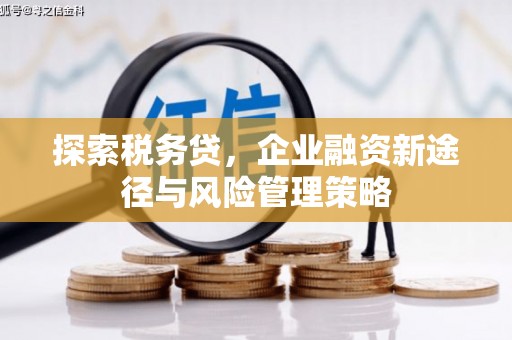 官田探索税务贷，企业融资新途径与风险管理策略