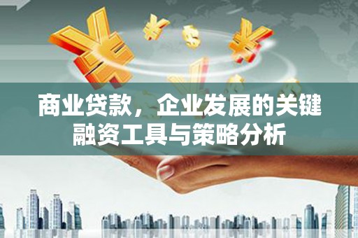 官田商业贷款，企业发展的关键融资工具与策略分析