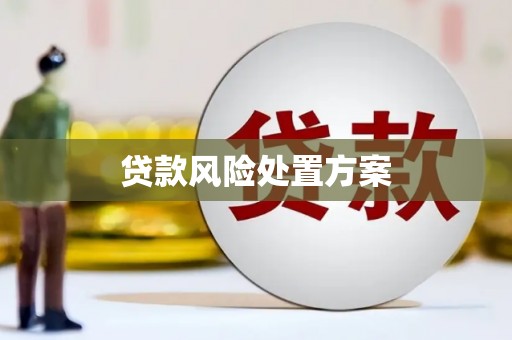 官田贷款风险处置方案