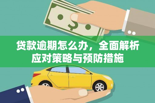 官田贷款逾期怎么办，全面解析应对策略与预防措施