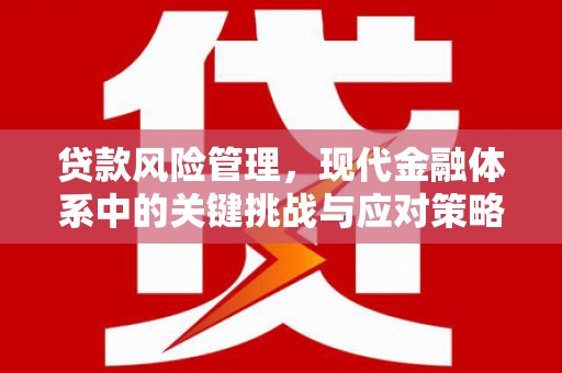 官田贷款风险管理，现代金融体系中的关键挑战与应对策略