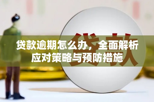 官田贷款逾期怎么办，全面解析应对策略与预防措施