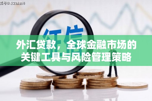 官田外汇贷款，全球金融市场的关键工具与风险管理策略