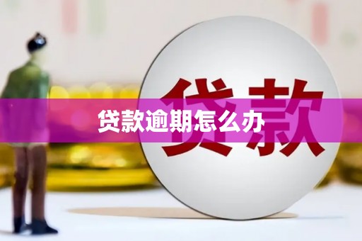 官田贷款逾期怎么办