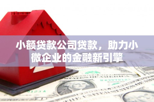 官田小额贷款公司贷款，助力小微企业的金融新引擎