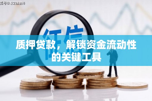 官田质押贷款，解锁资金流动性的关键工具