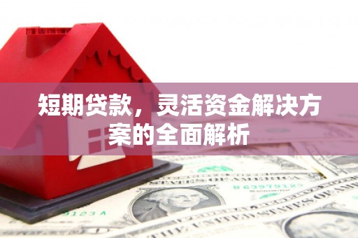 官田短期贷款，灵活资金解决方案的全面解析