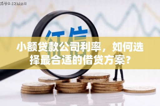 官田小额贷款公司利率，如何选择最合适的借贷方案？