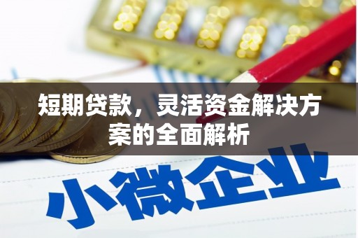 官田短期贷款，灵活资金解决方案的全面解析