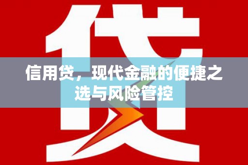 官田信用贷，现代金融的便捷之选与风险管控
