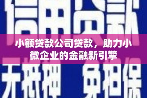 官田小额贷款公司贷款，助力小微企业的金融新引擎