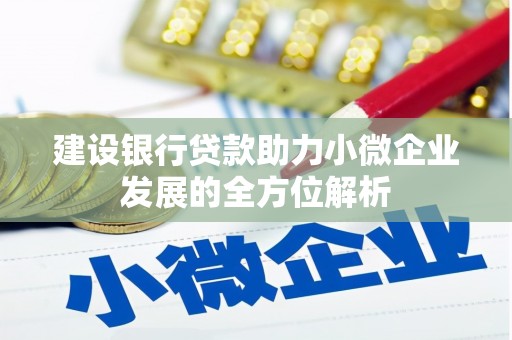 官田建设银行贷款助力小微企业发展的全方位解析