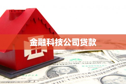 官田金融科技公司贷款