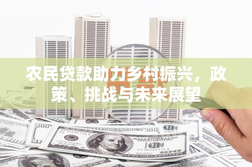 官田农民贷款助力乡村振兴，政策、挑战与未来展望