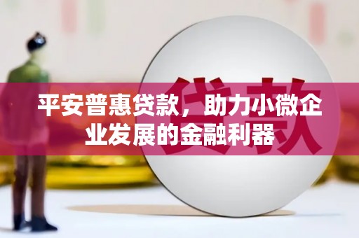 官田平安普惠贷款，助力小微企业发展的金融利器