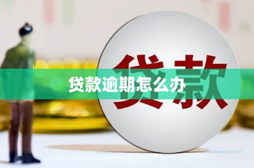官田贷款逾期怎么办