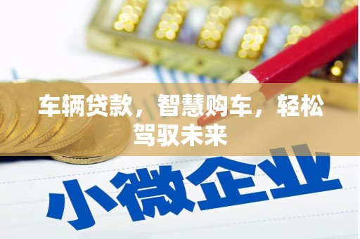官田车辆贷款，智慧购车，轻松驾驭未来