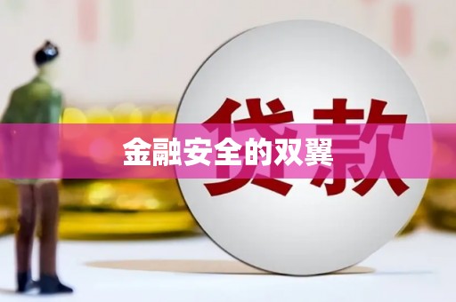 官田金融安全的双翼