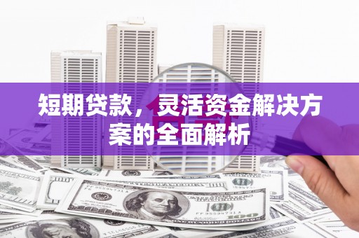 官田短期贷款，灵活资金解决方案的全面解析