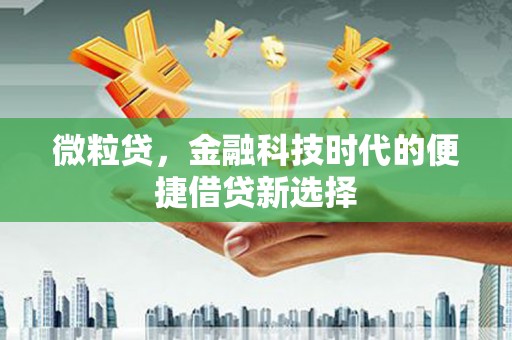 官田微粒贷，金融科技时代的便捷借贷新选择