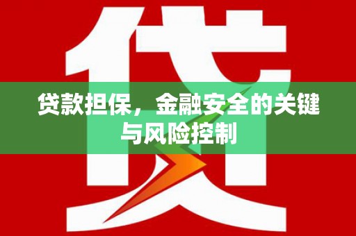 官田贷款担保，金融安全的关键与风险控制